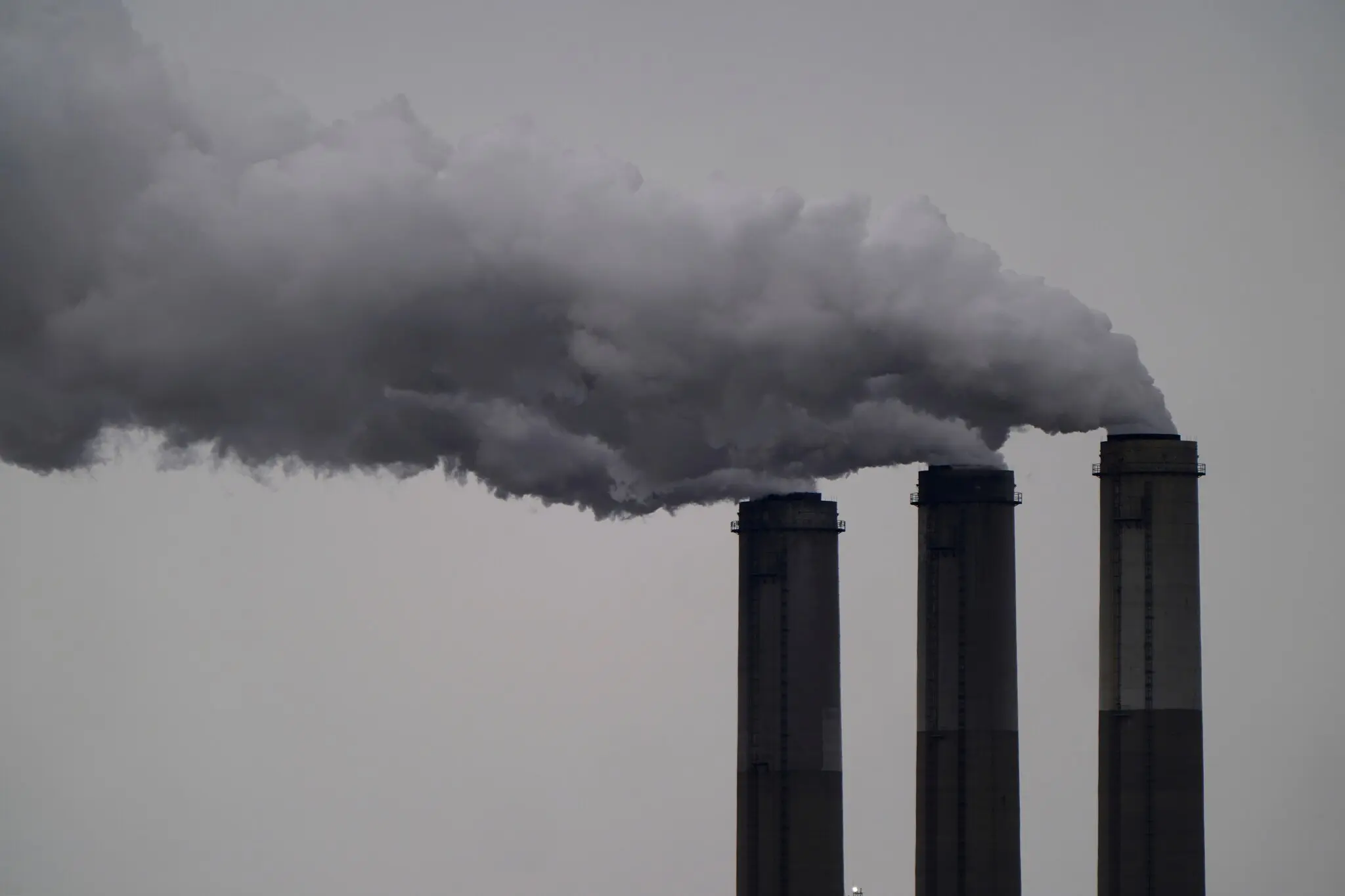 Наслідування Франциска: новий папа й боротьба з кліматом